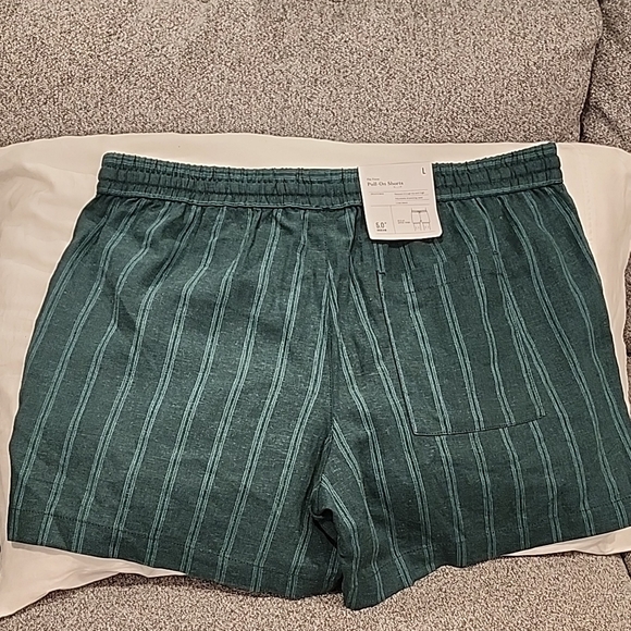 Goodfellow & Co Teal Striped Athletic Shorts - Picture 3 of 6